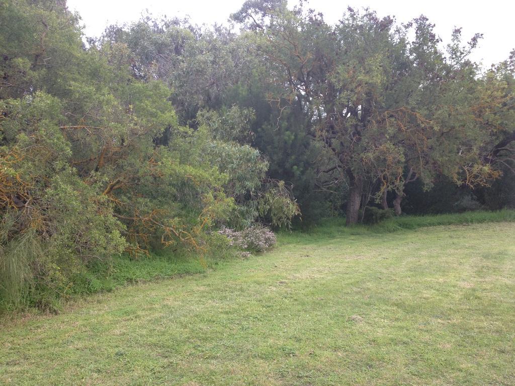 Millicent Lakeside Caravan Park Hotel Buitenkant foto